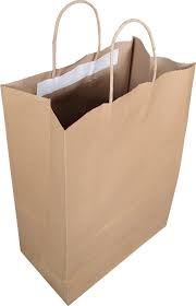 ECO-CRAZE - 10x5x13 Kraft Paper Bags - Twisted Handle