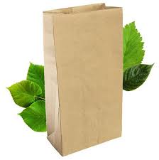 GENERIC -SO - Paper Bags - Brown - #8